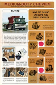 1966 Chevrolet 50 to 80 Truck-04.jpg